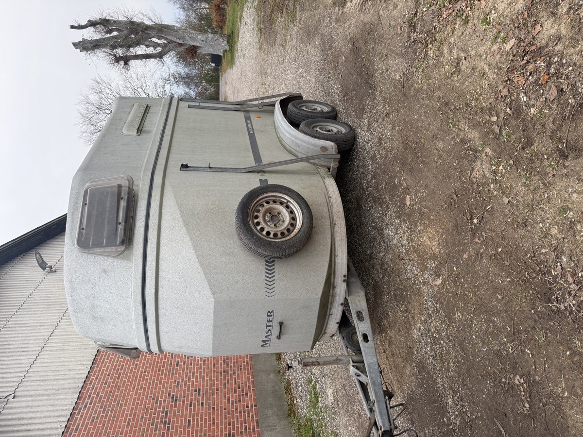 2 hestes hestrailer Böckmann Master