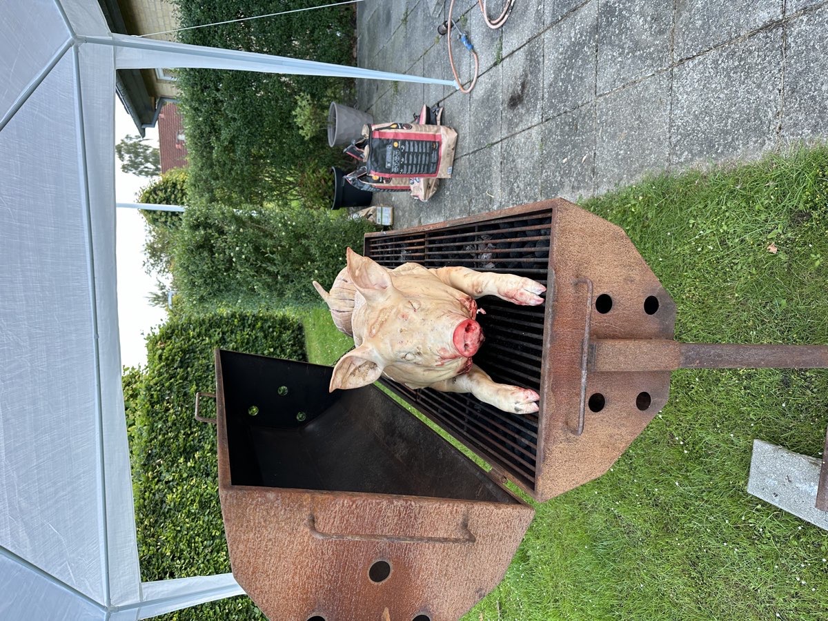 Lej en Helstegt gris