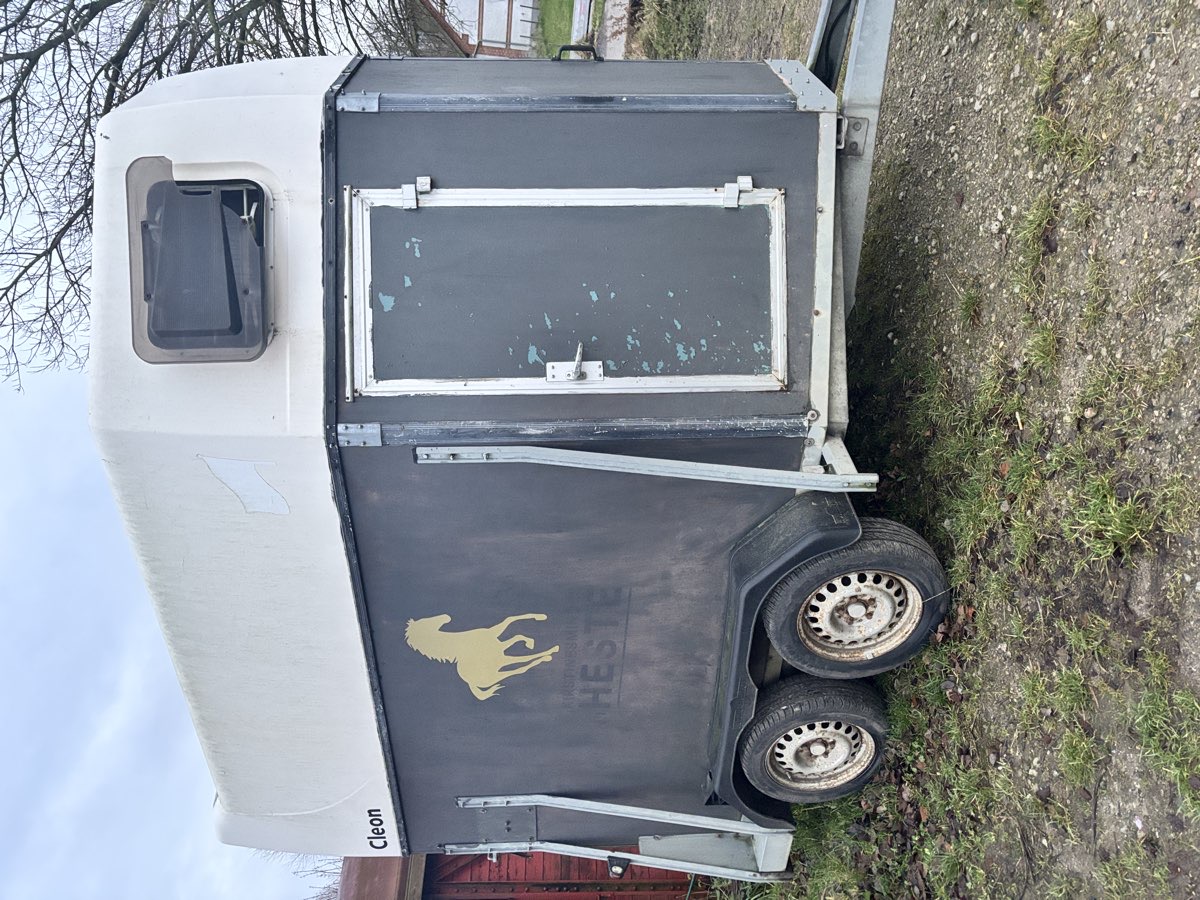 Hestetrailer