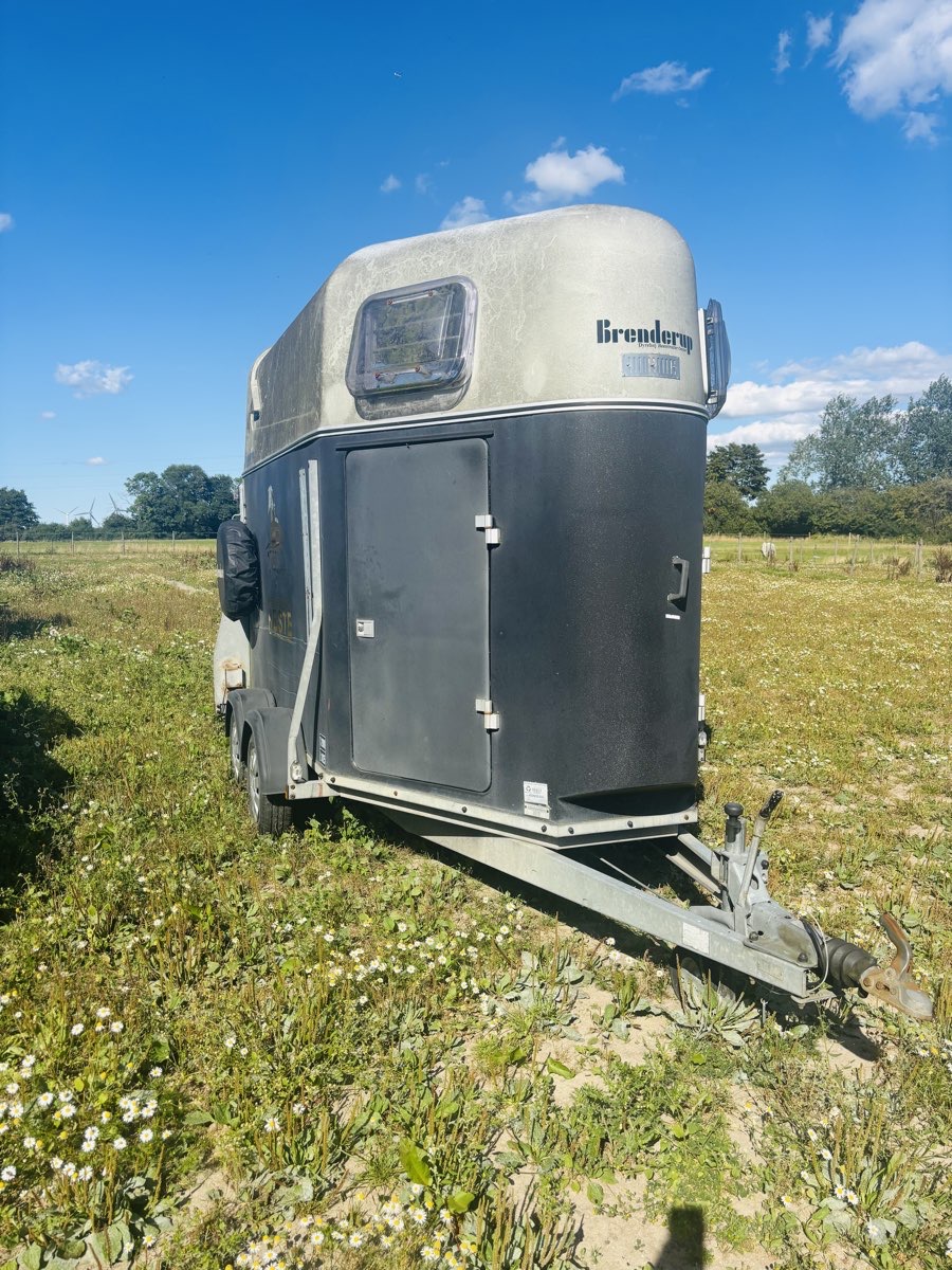 Hestetrailer
