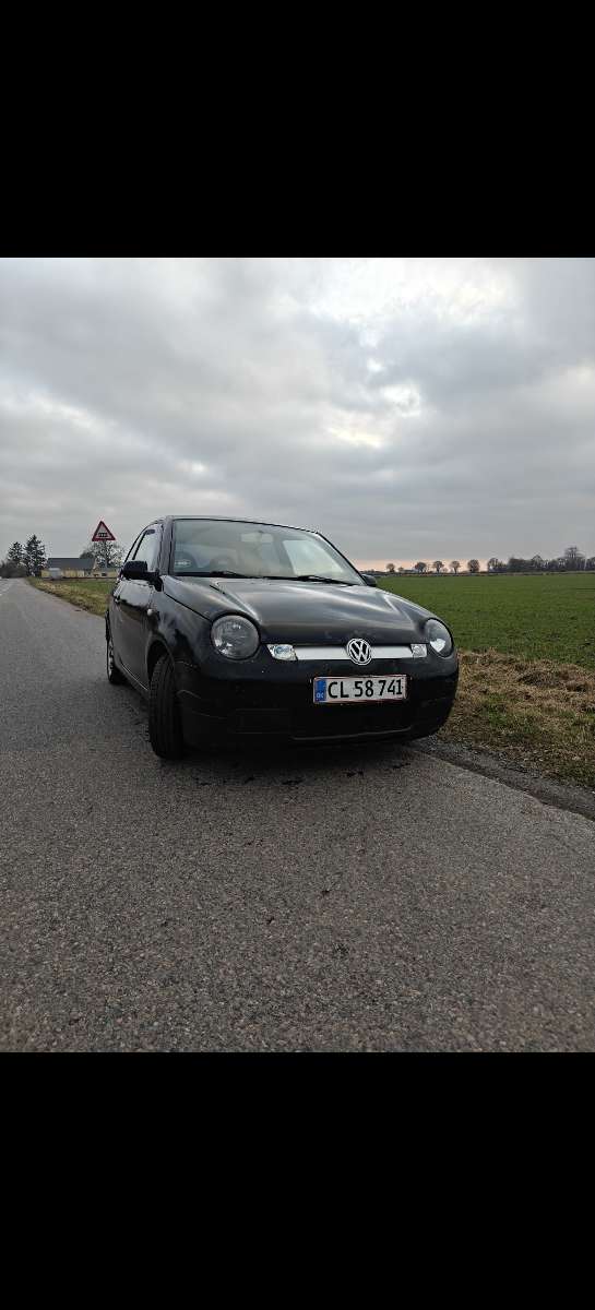 Lupo